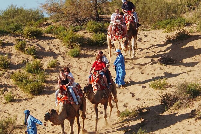 Guided Tour of Souk El Had in Agadir with a Certified Guide - Transport and comfort: getting there without the hassle