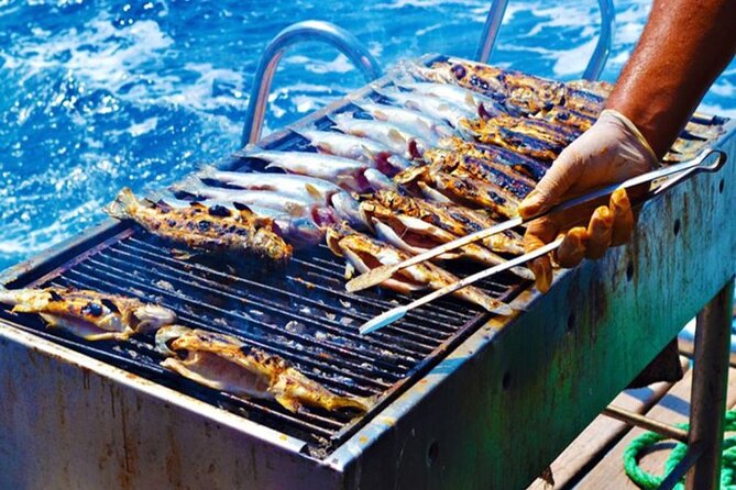 Half-Day Agadir Coastal Boat Trip with Lunch - Who This Boat Trip Is Best For