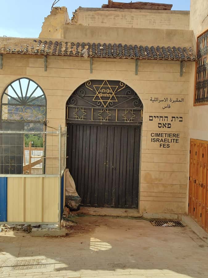 Half day guided tour in Fes Medina - Al Batha Museum and Arm Museum: culture with a calmer pace