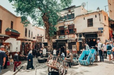 Half Day Guided Walking Tour in the Medina of Fez