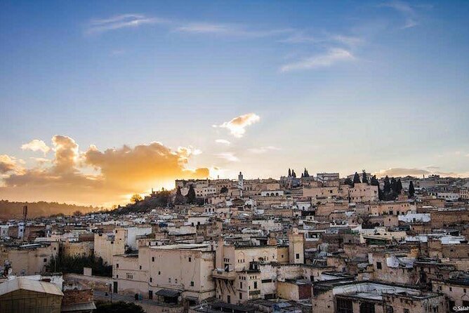 Half Day Guided Walking Tour in the Medina of Fez - Medina walking and souks: more than a stroll