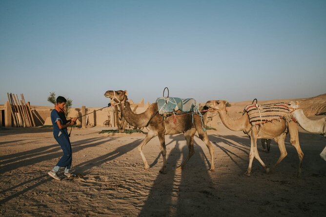 Half day in Agafay desert with Camel ride, Quad biking and dinner nomad tent - Camel ride at sunset: the moment your photos will thank you for