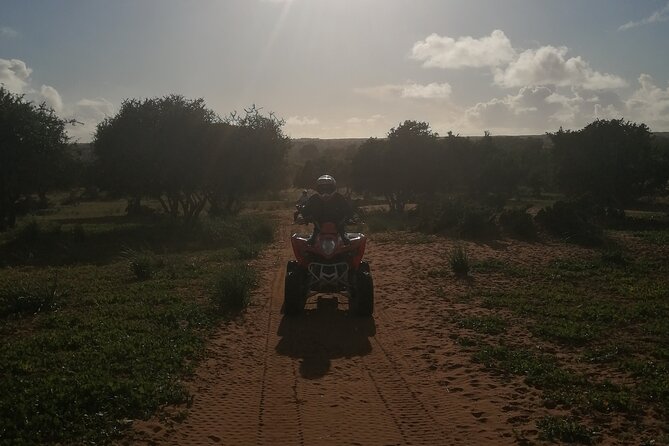 Half Day Quad in Agadir - The ride route: dunes, argan and eucalyptus forest, and rural tracks