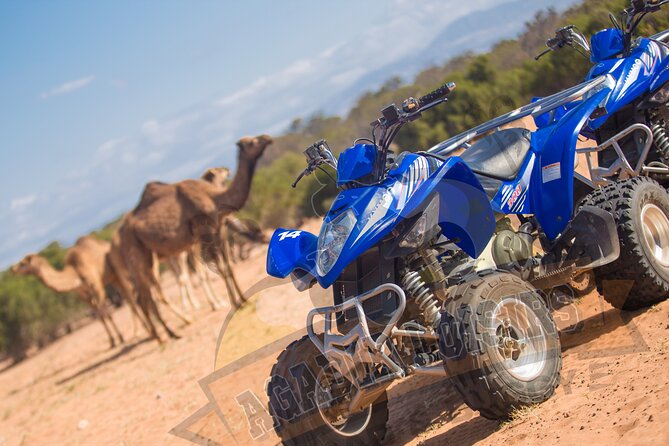Half-day QUAD In Agadir + pick-up included from Agadir - LMZAR to Argan Trees and Fig Forests: Where the Trip Gets Fun