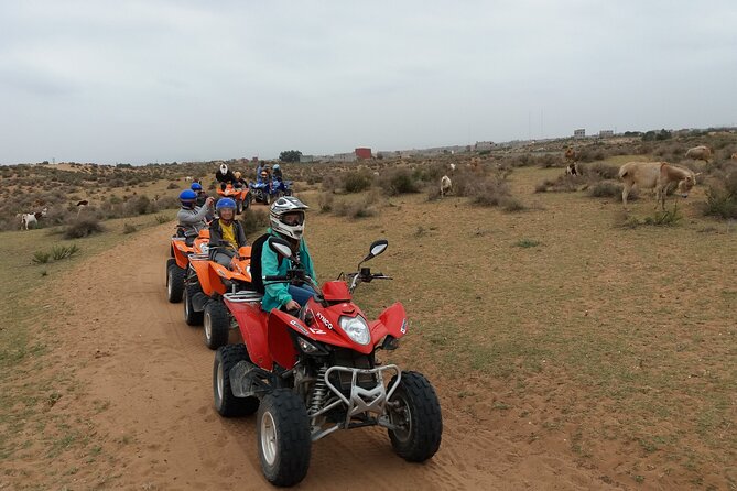 Half-day QUAD In Agadir + pick-up included from Agadir - Pace, Comfort, and How the Ride Actually Feels