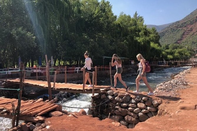 Half Day Tour From Marrakech to the Atlas Mountains & Ourika Valley - Marrakech to the High Atlas: the morning drive that sets the tone