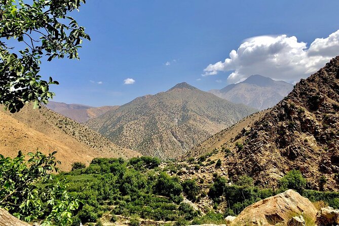 Half Day Tour From Marrakech to the Atlas Mountains & Ourika Valley - The argan co-operative stop: why it feels more real than shopping