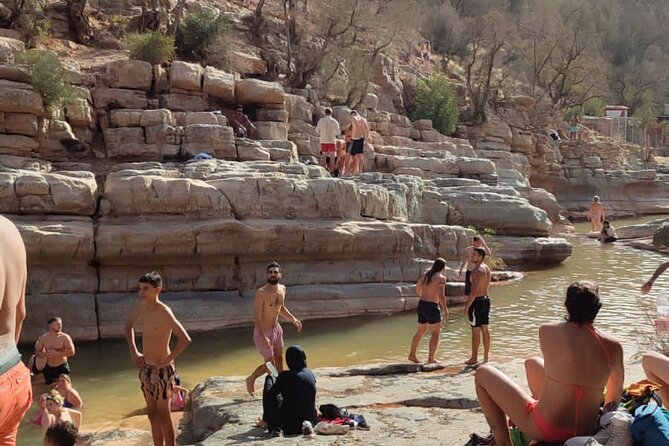 Half Day Tour to Paradise Valley - Aourir and the banana village market moment