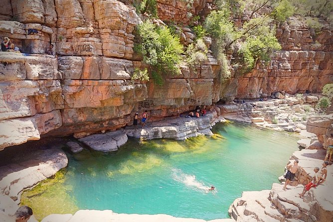 Half-Day Tour to Paradise Valley from Agadir - Key highlights that make this trip work