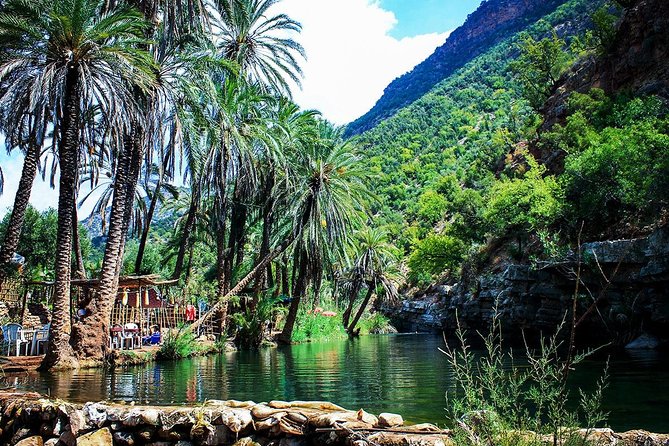 Half-Day Tour to Paradise Valley from Agadir - The guide and the driver: communication that makes the trip easier