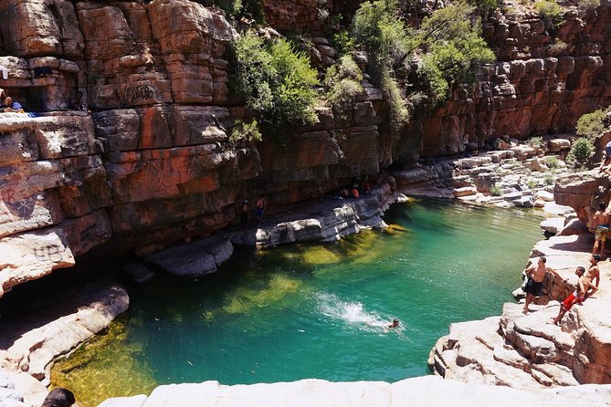 Half-Day Tour to Paradise Valley from Agadir - Price and logistics: what you are really buying for $56.61