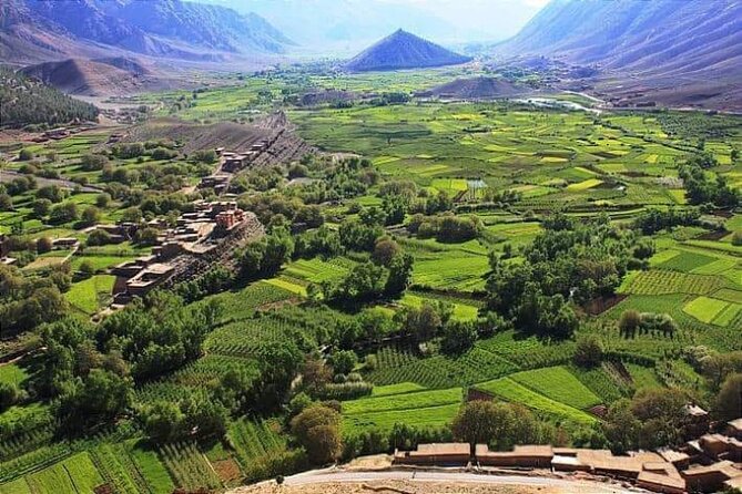 Hidden Atlas Mountains Valley - Paradise Valley Time: Palm Groves, Argan Trees, and Natural Pools