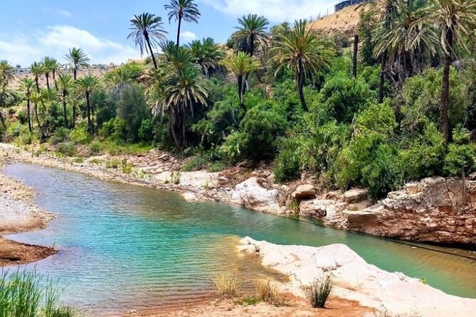 Hidden Atlas Mountains Valley - Local Guide Value: Why Rashid’s Style Matters