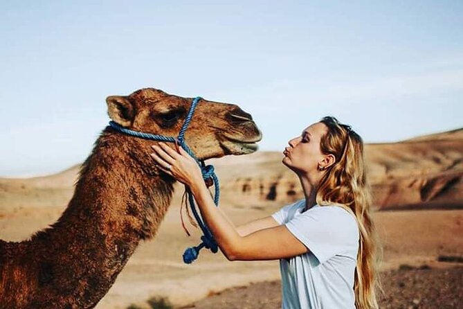 High Atlas Mountains and Imlil Valley Tour from Marrakesh - Key highlights worth knowing
