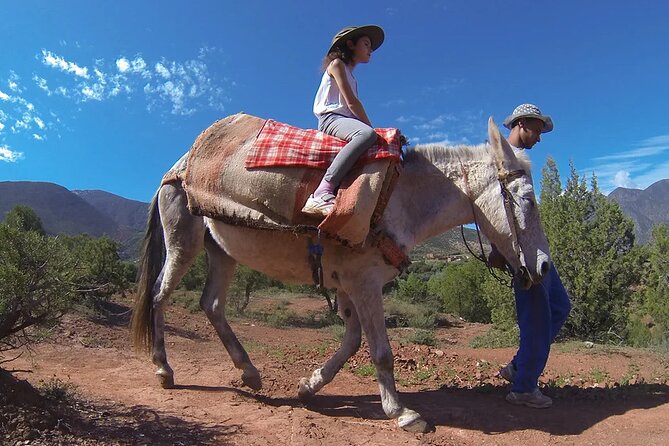 High Atlas Mountains, Day Trip From Marrakech - The 9:00 am start: what your morning will feel like