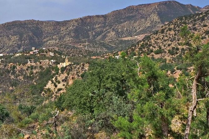 High Atlas Tour & Paradise Valley - Paradise Valley Agadir: oleander, streams, and winter almond blooms