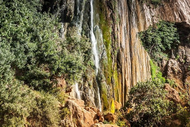 High Atlas Tour & Paradise Valley - Imouzzar and the seasonal waterfalls: fir forest, greenery, and a tea break