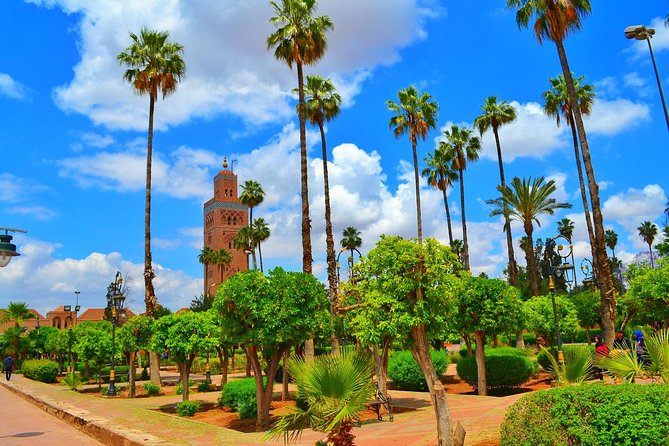 Highlights of Marrakech: Private Half-Day City Tour - Farnatchi and hammams, how tanjia and steam baths work