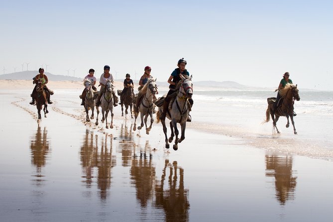 Horse Ride on the Beach in Essaouira - First You Get Picked Up, Then You’re Off to the Stables