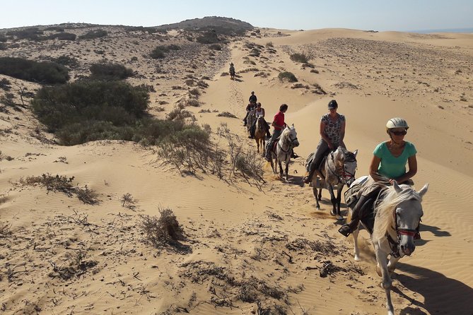 Horse Ride on the Beach in Essaouira - Beginners Get a Lesson, but You Control Your Comfort