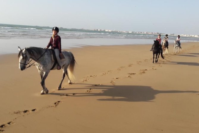 Horse Ride on the Beach in Essaouira - Guides and Horses: The Real Quality Signal