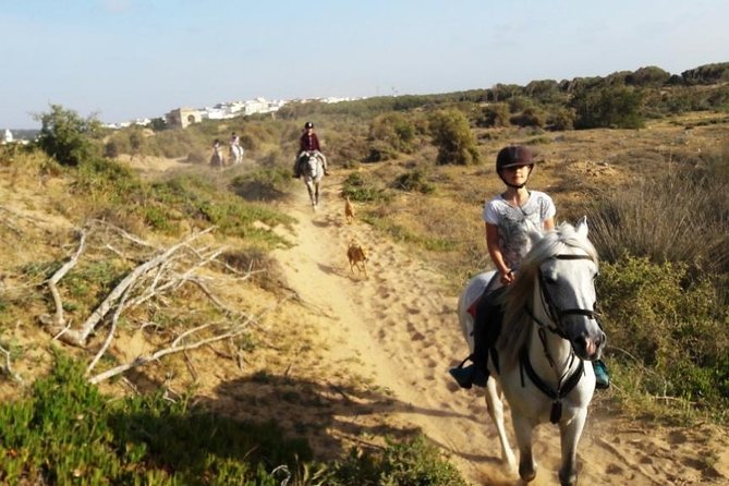 Horse Ride on the Beach in Essaouira - Out on Essaouira’s Atlantic Beach, Walking Into the Water