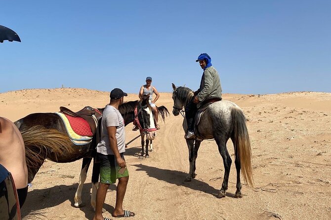 Horse Riding Agadir - Sand, dunes, and the gallop moment riders remember