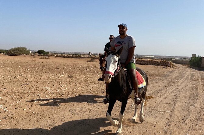 Horse Riding Agadir - The horse and safety reality check (including flies)