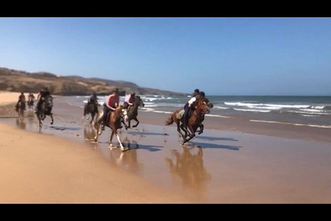 Horse Riding Agadir - Group size and private-only feel: why it’s not just a “tour bus ride”