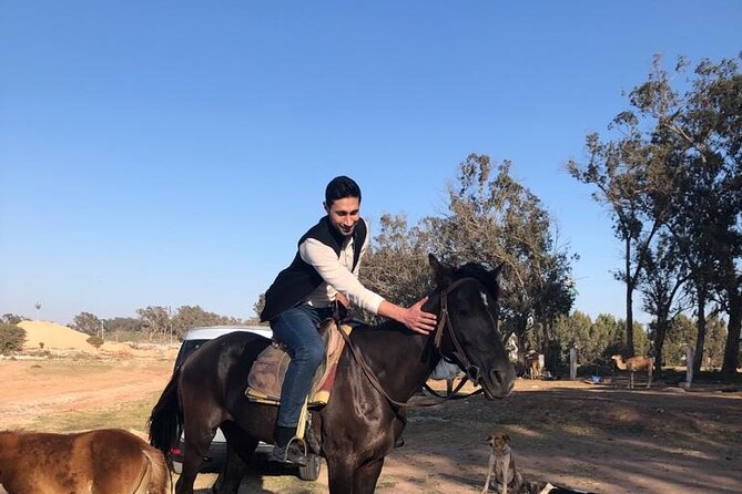 Horse Riding Agadir - The first stretch: eucalyptus forest and moving toward the river