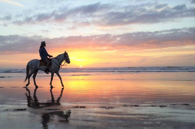 Horse riding at sunset for 2 hours - Diabat at sunset, the route that changes every few minutes