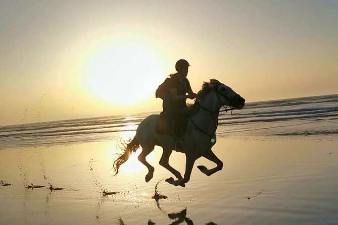 Horse riding on the beach of Essaouira 2 hours - Key Highlights You’ll Care About