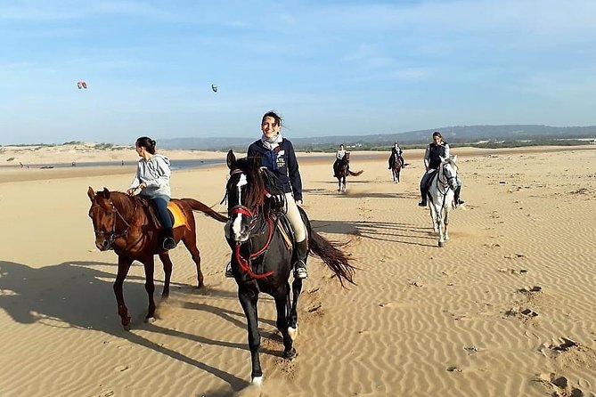 Horse riding on the beach of Essaouira 2 hours - The Route You’ll Ride: Beach, Dunes, Eucalyptus, and Sultan’s Palace Views