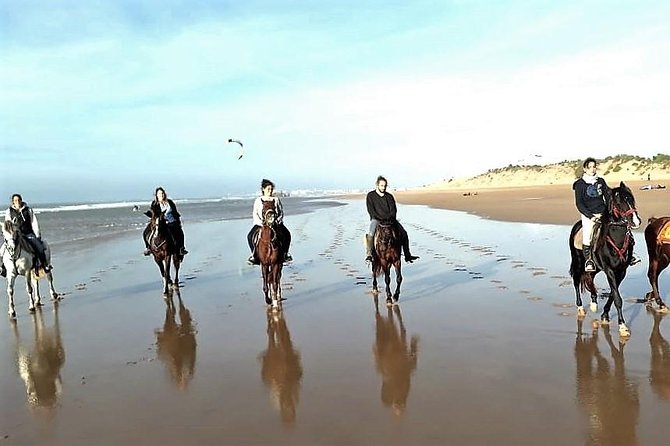 Horse riding on the beach of Essaouira 3 hours - Key Highlights You’ll Actually Feel on This Ride