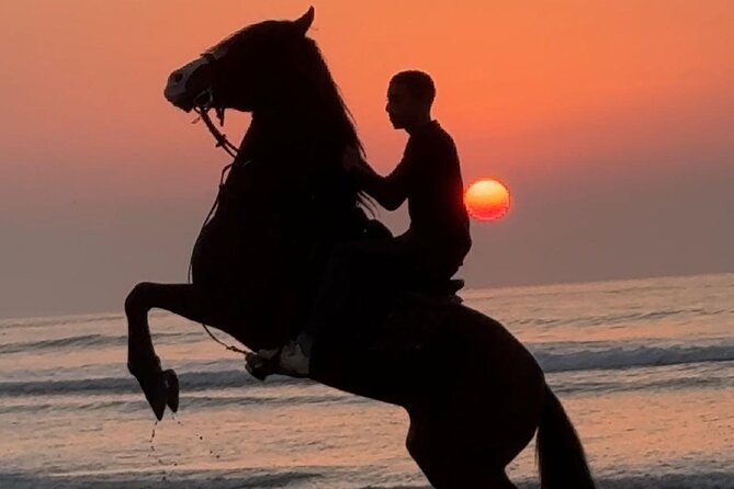 Horseback riding at sunset (2 hours) - The private multilingual guide and the photo focus