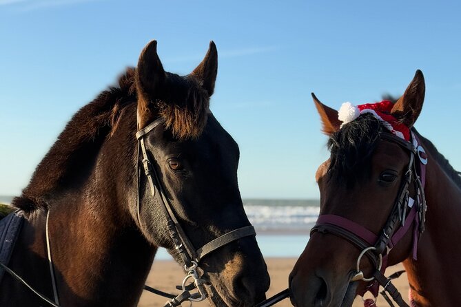 Horseback Riding On The Beach Of Essaouira - Your 1-hour ride: what happens, and why the order matters