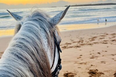 Horseback Riding On The Beach Of Essaouira