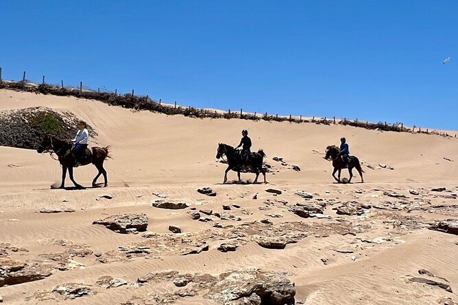 Horseback Riding On The Beach Of Essaouira - Where to meet: Cafe Jimi Hendrix in Diabat