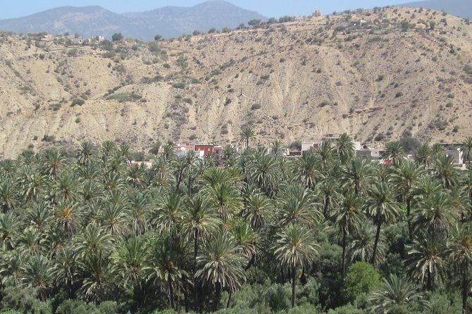 Imouzzer high Atlas mountains Tour from Agadir - Thursday Souk Bonus: The Rural Market Detour That Adds Local Color