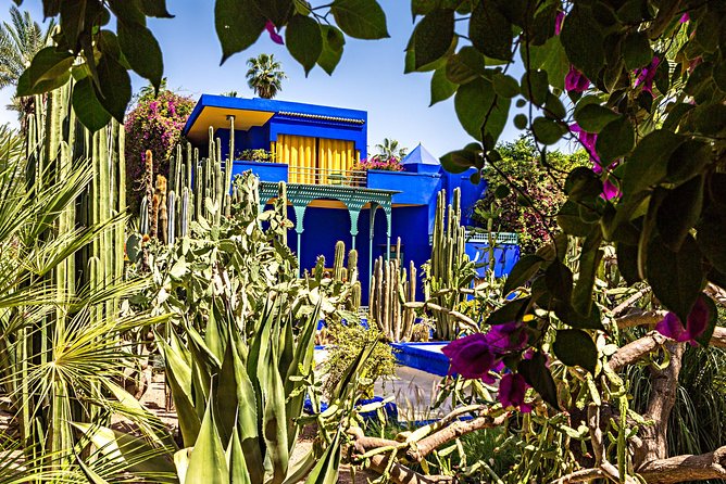 Imperial Cities Tour from Casablanca - Marrakech and the Ouzoud Waterfalls Day: Expect a Big Pace Switch