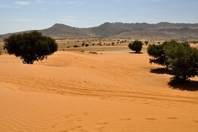 Jeep 4x4 Safari Desert Dunes & Atlantic Ocean with Berber Lunch - Why This Agadir 4x4 Safari Works as a Full Day Plan