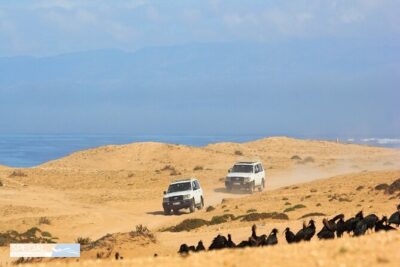 Jeep 4×4 Safari Desert Dunes & Atlantic Ocean with Berber Lunch