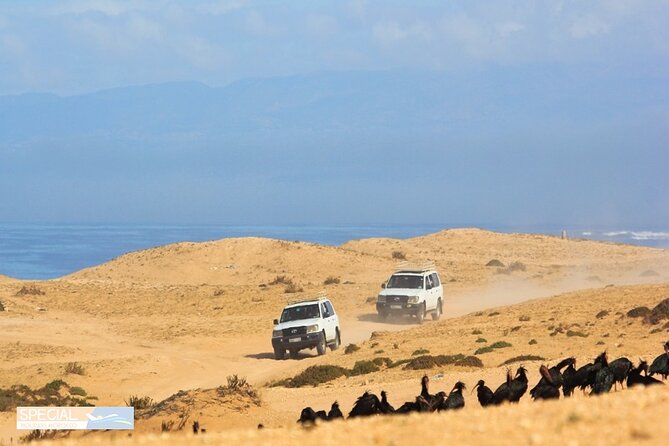 Jeep 4x4 Safari Desert Dunes & Atlantic Ocean with Berber Lunch - Tifnit and Sidi Rbat: Fishermen Caves on the Wild Atlantic
