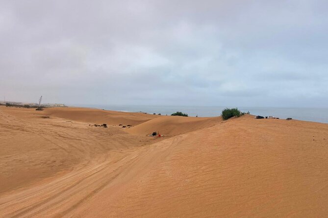 Jeep safari 4x4 mini sahara desert with Berber Lunch - Sandboarding near Tifnit: the quick adrenaline hit
