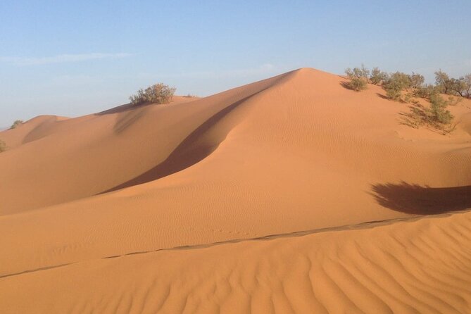 Jeep Tour to Mini Sahara With Lunch Small group - Key things I’d circle before you go