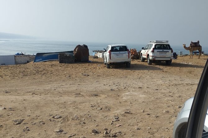 Jeep Tour to Mini Sahara With Lunch Small group - Massa valley river break: natural scenery time without the rush