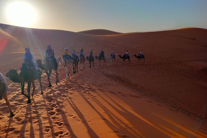 LET'S GO Tour MARRAKECH to DESERT TO FES 3 Days - El Kelaa M’gouna: a roses valley pause with seasonal meaning