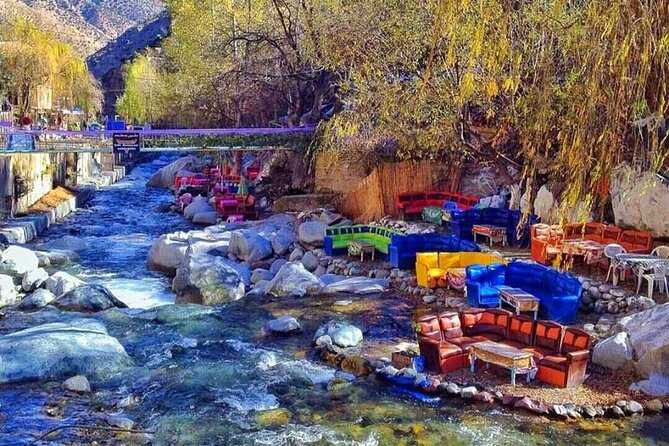 Lunch in the High Atlas: Ourika Valley Waterfalls & 3 Valleys - Argan oil, Berber craft, and the breakfast that actually fuels the day