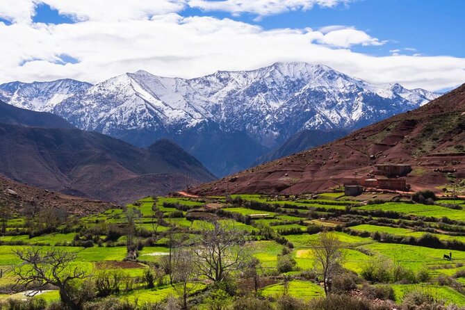 Lunch in the High Atlas: Ourika Valley Waterfalls & 3 Valleys - Who should book this High Atlas and Agafay sunset combo?