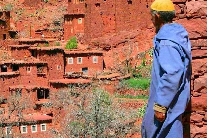 Lunch in the High Atlas: Ourika Valley Waterfalls & 3 Valleys - Ourika Valley stop: mountain air and a cooperative you can actually visit